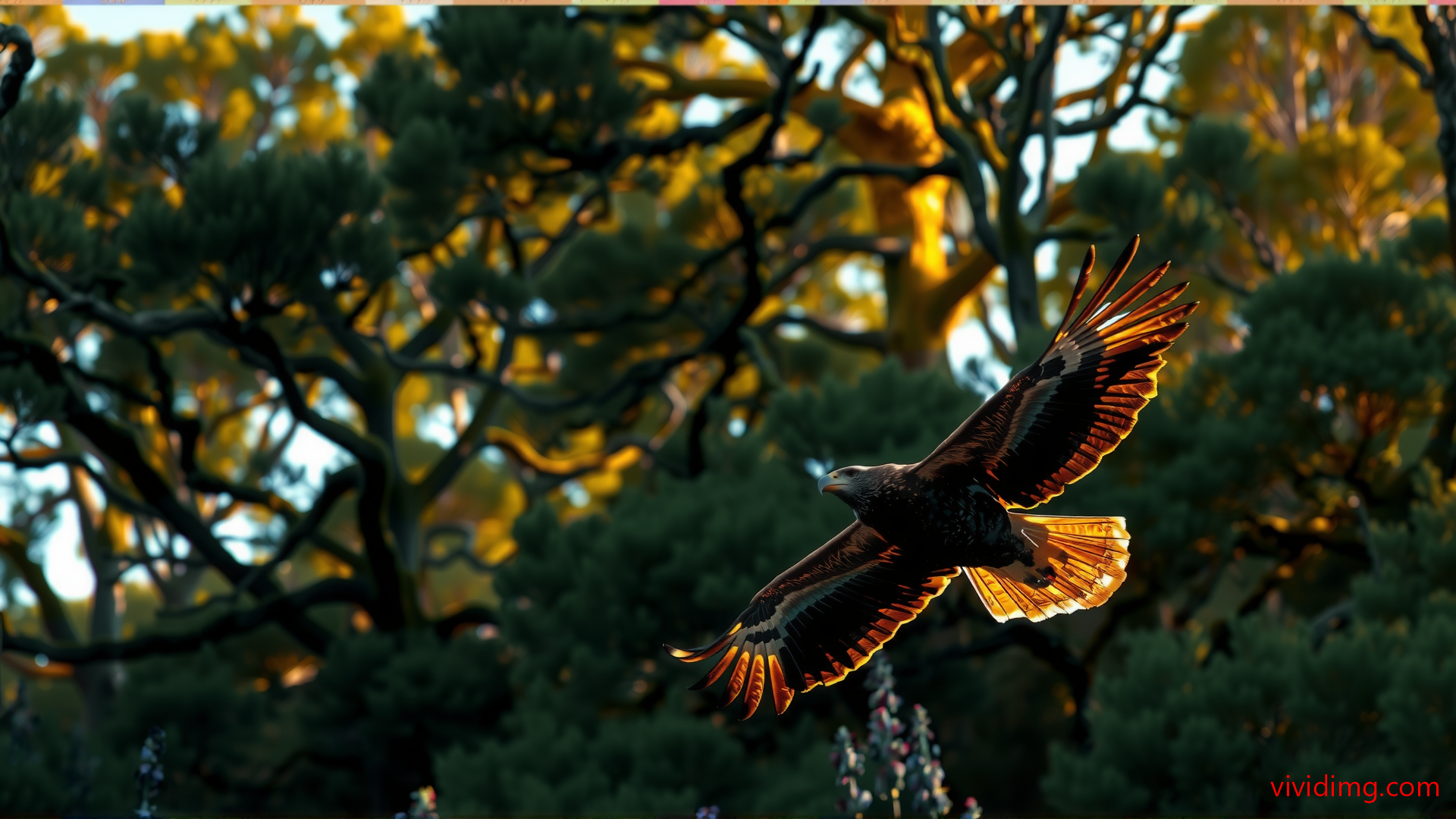 Eagle soars through lush forest canopy