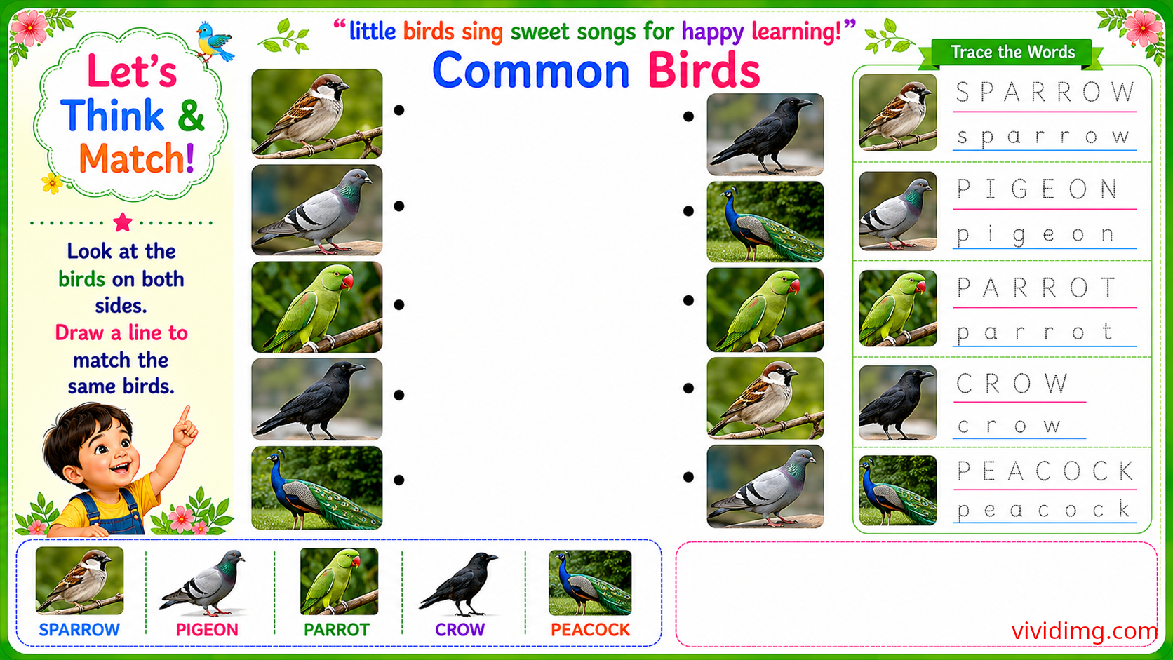 Learning familiar backyard birds through play – let's think & match