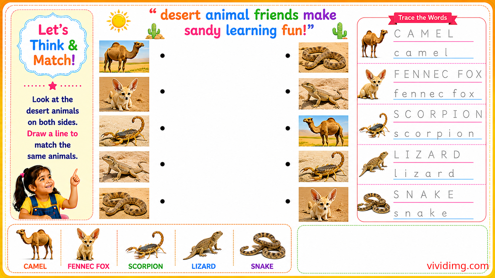 Discovering amazing desert animal friends through play – let's think & match