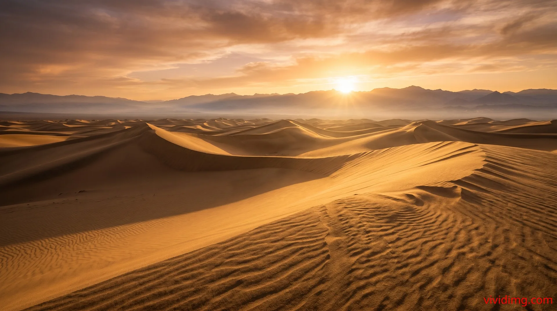 Golden desert sunrise with dramatic sand dunes in cinematic 8K landscape