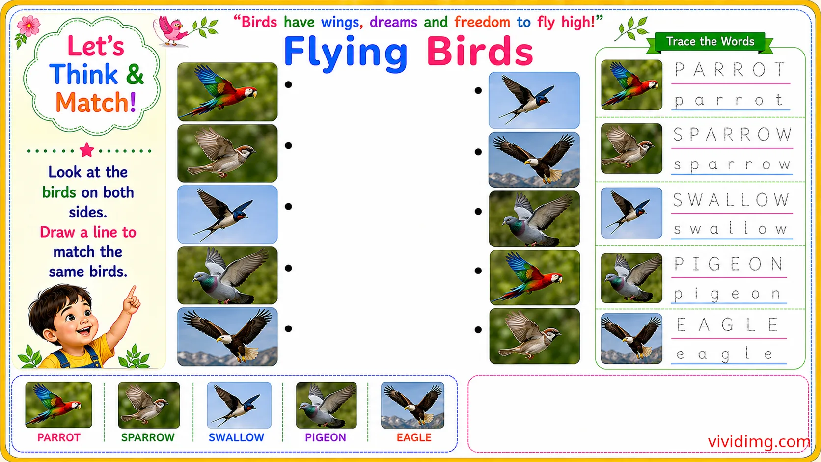 Soaring high with amazing feathered friends – let's think & match