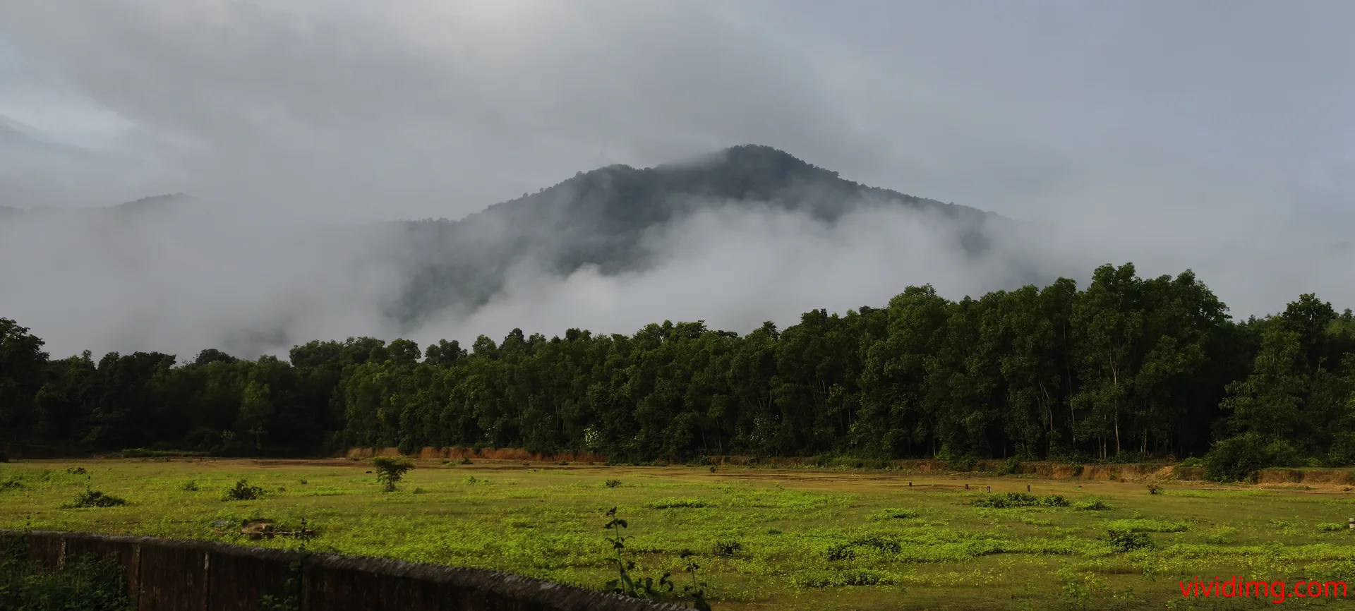 Misty green mountains wrapped in monsoon clouds