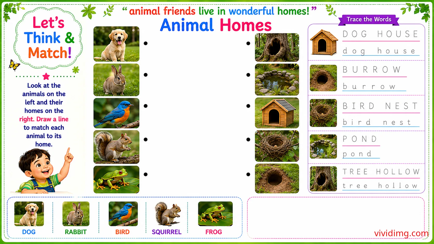Exploring jungle animal friends through play – let's think & match