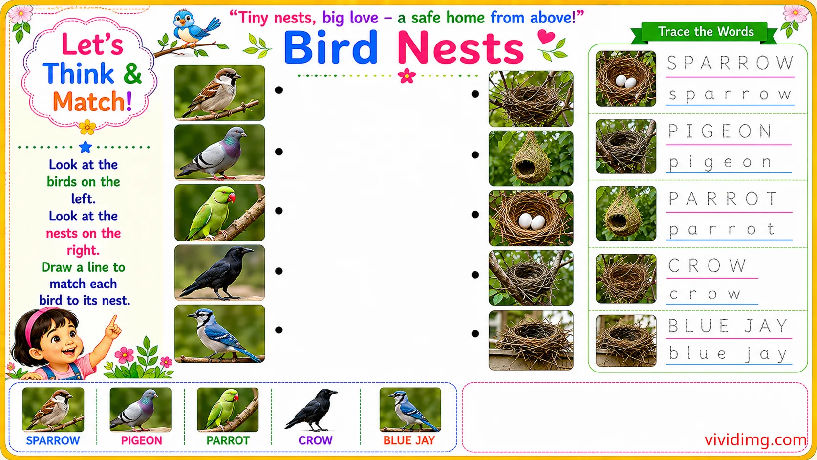 Tiny architects of nature at work – let's think & match
