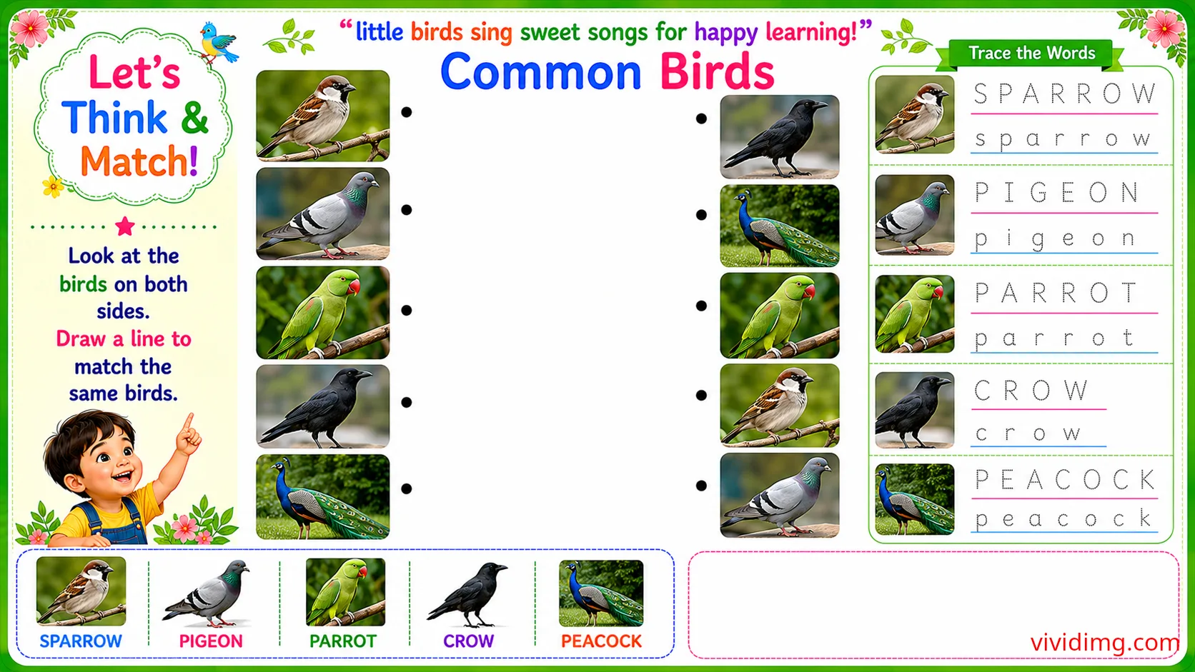 Learning familiar backyard birds through play – let's think & match