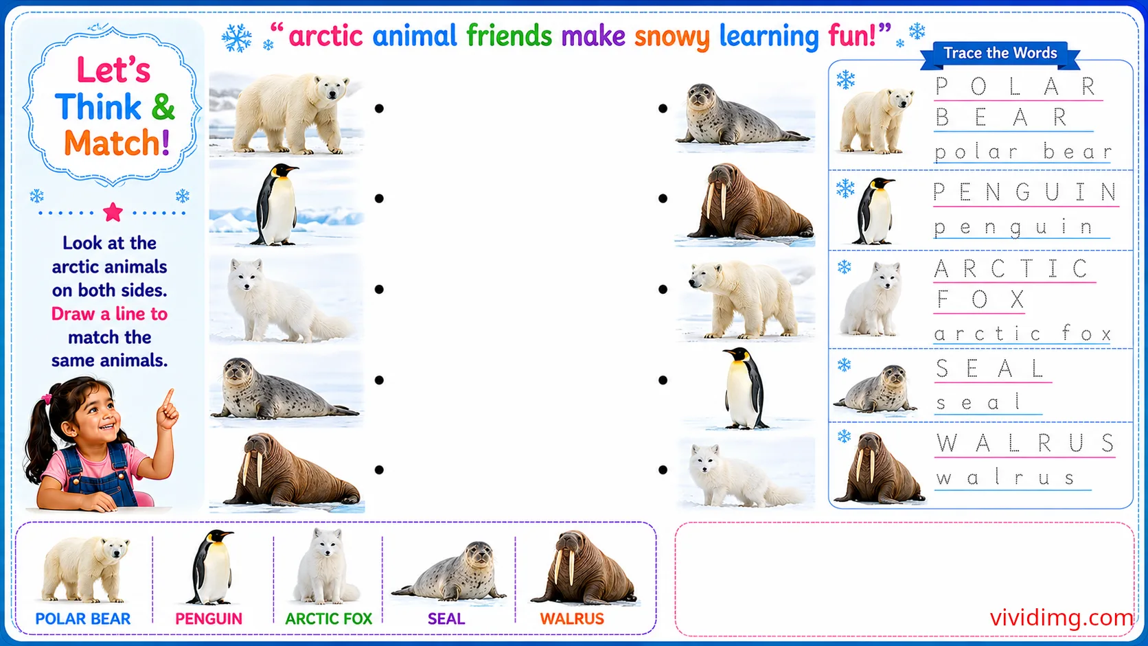 Learning amazing sea animals through playful discovery – let's think & match