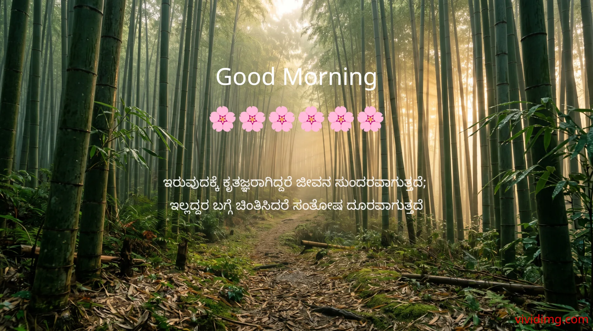 A grateful heart sees beauty everywhere - Good morning