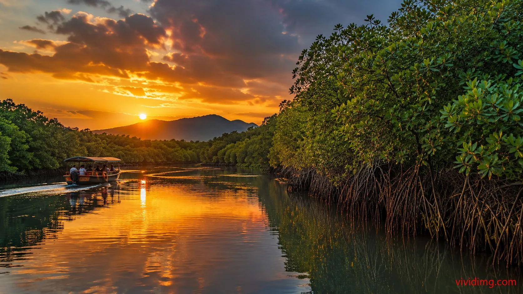 Peaceful mangrove sunset river HD image with boat view