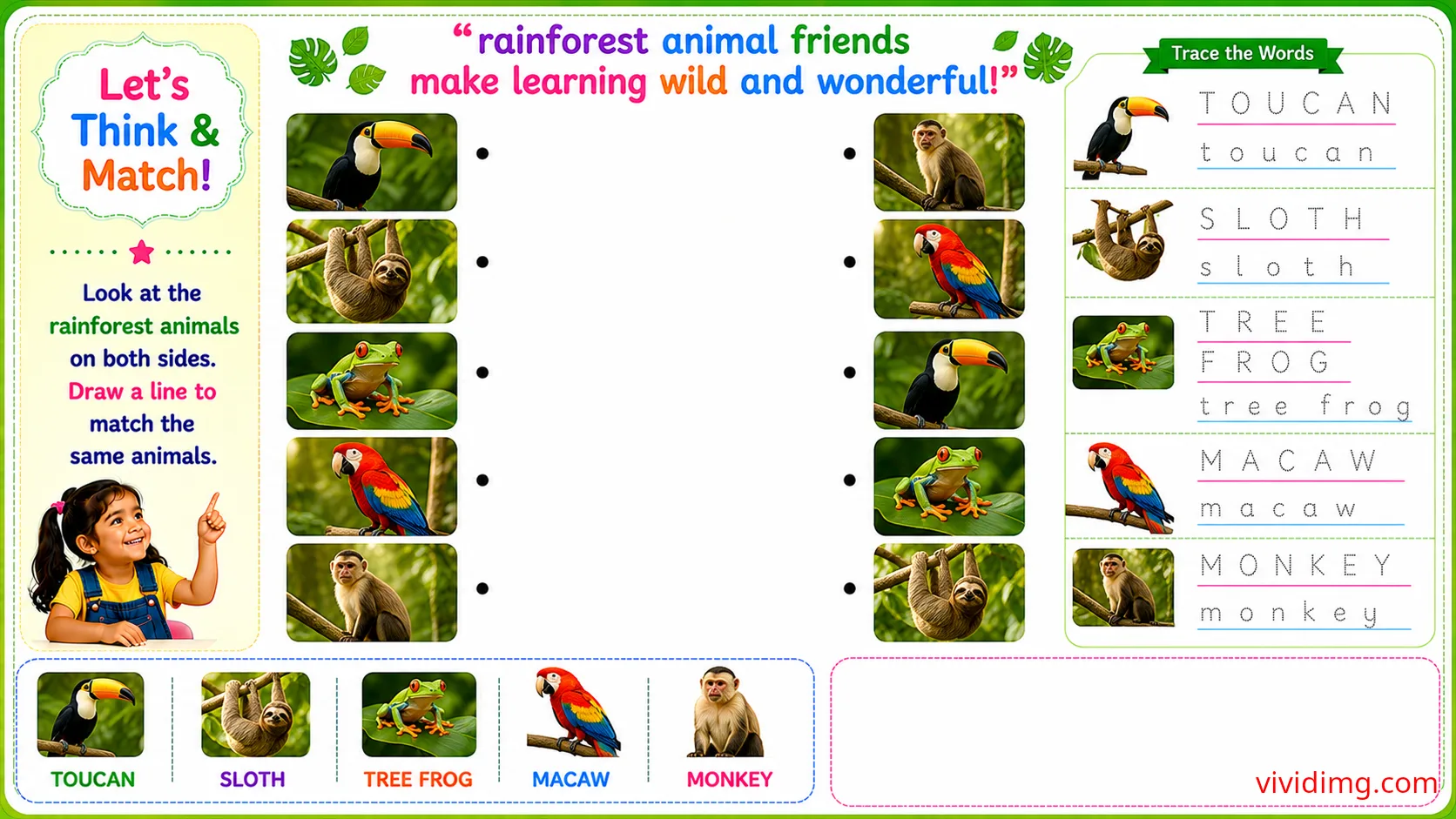 Discovering amazing desert animal friends through play – let's think & match