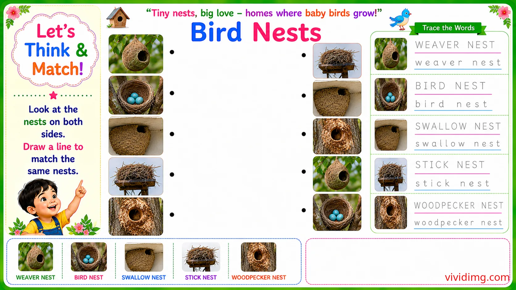 Matching beautiful bird nests with playful activities – let's think & match