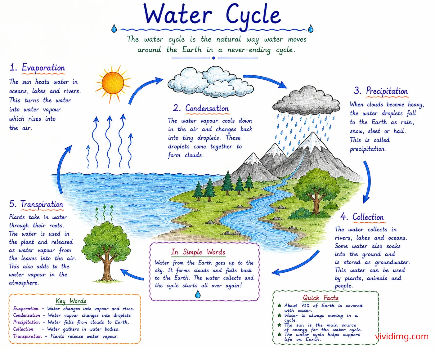 Water cycle – understanding how water moves around the Earth